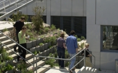 REALTECH Terrasse - REALTECH AG