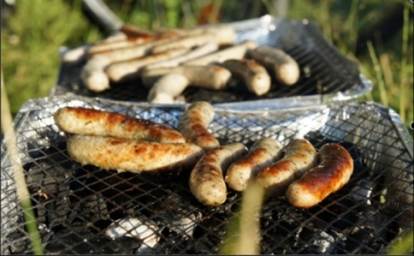 Sommerparty - gemeinsames Grillen an der Isar - insparx GmbH