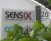 Sensix Office - Aussen - Sensix GmbH