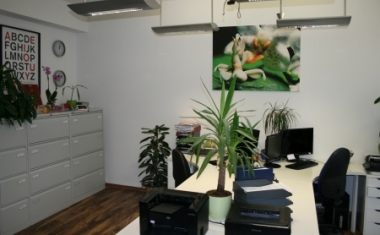 Arbeitsplatz Berlin - Bitskin GmbH