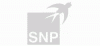 SNP Schneider-Neureither & Partner AG