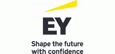 Ernst &amp; Young &Ouml;sterreich Logo